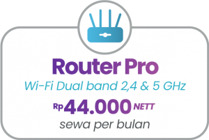 Add-on router pro